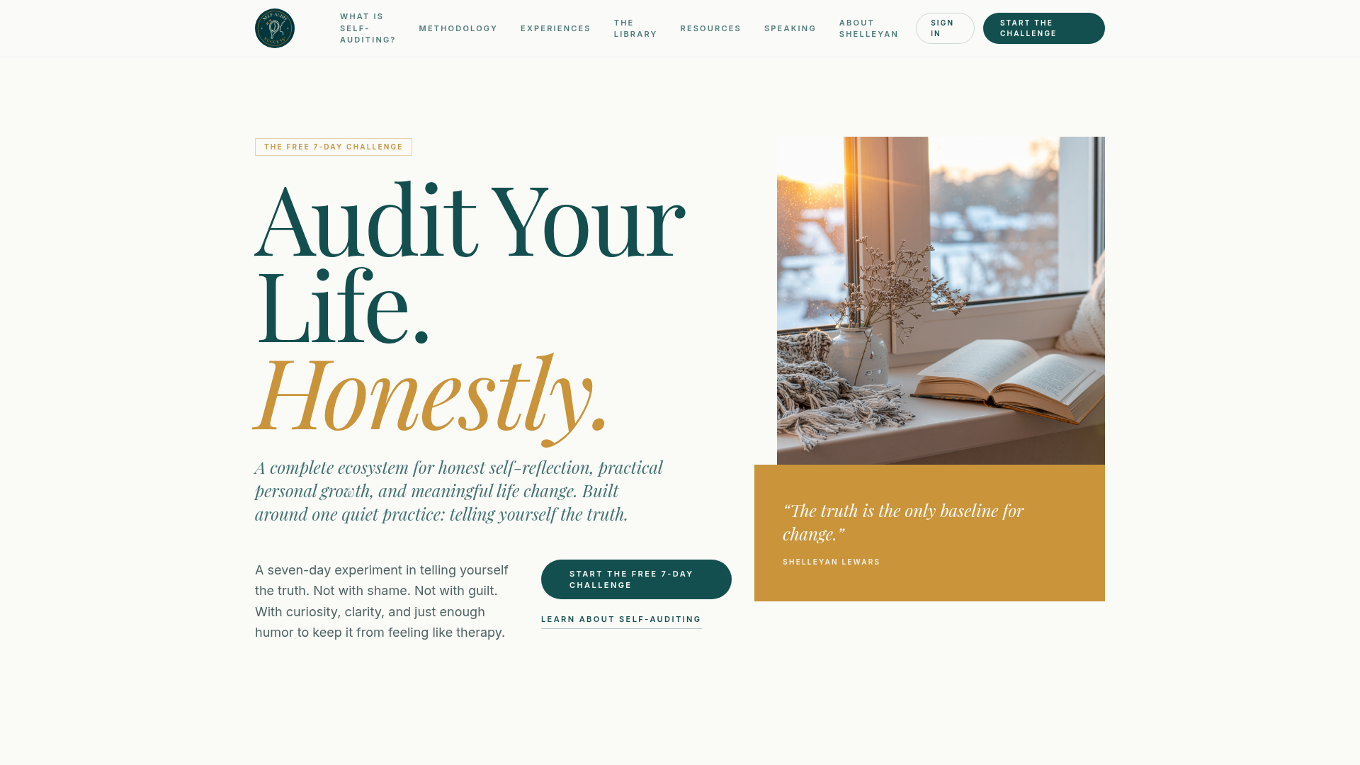 Self-Audit Success™ website preview